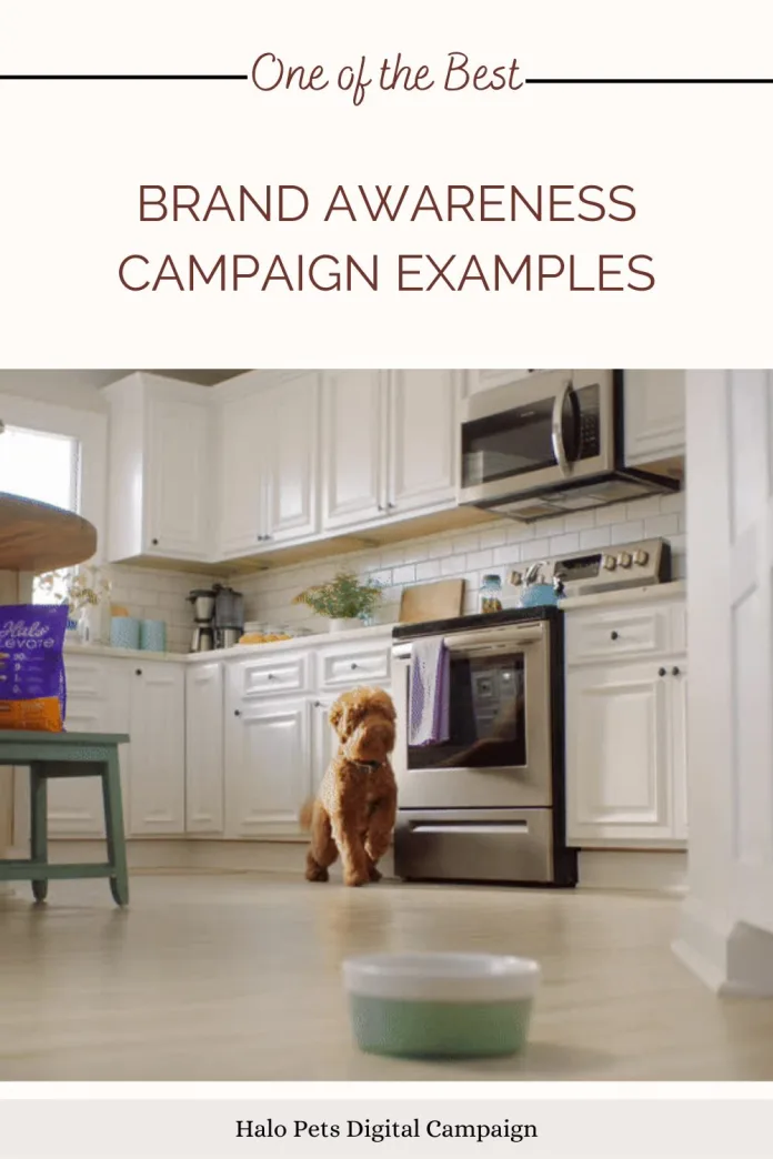 Brand Awareness Campaign Examples
